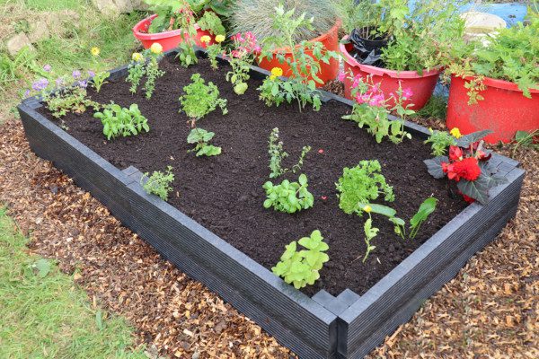 Raised Beds Starter Kit with extension
