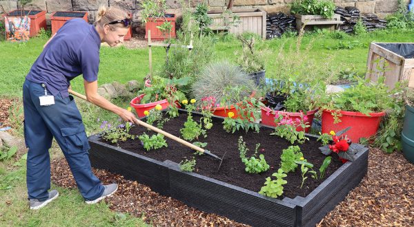 Raised Beds Starter Kit with extension
